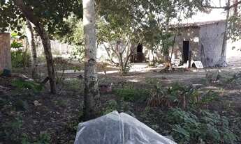 Imagem 7: Casa à venda em rua pública, CENTRO, Canavieiras, BA