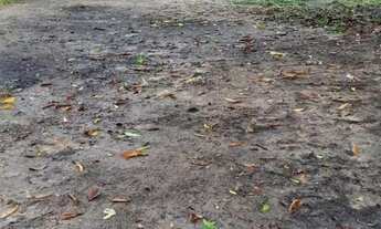 Imagem 2: Vende-se um sítio na região urubuzinho!