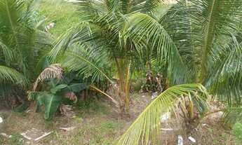 Imagem 4: Casa Santa Inês 10mil entrada