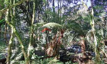 Imagem 3: Lote em Rua 21 - Alpes - São Francisco de Paula/RS