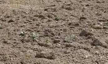 Imagem 5: CHACARA 5.400M2 Chácara com venda por R$35.000