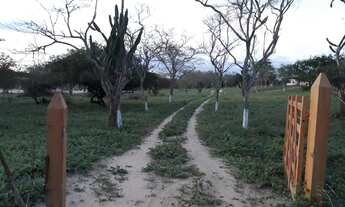 Imagem 4: Fazenda oportunidade