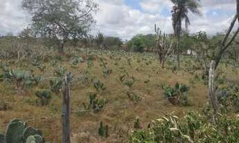 Imagem 6: Fazenda oportunidade