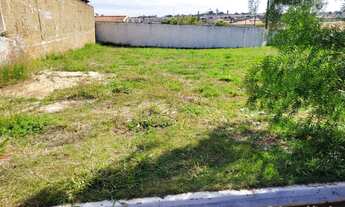 Imagem: T. Green plano