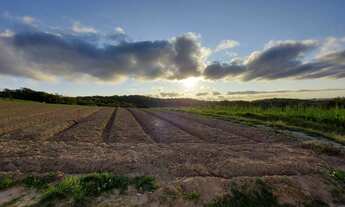 Imagem 3: AREA VERDE Terreno / lote com venda por R$35.000