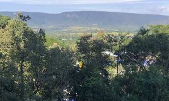 Imagem 7: Lindo apto de 3 dormitórios, 80 metros, varanda gourmet com vista para serra, 2 vagas cobe