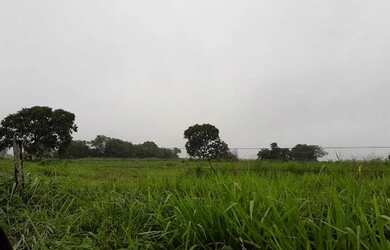 Imagem 16: Venda Fazenda Municipal Jangada, 1.300 hectares, Topografia Plana Levemente Ondulada - MT