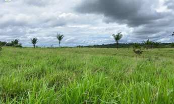 Imagem 6: Fazenda Á VENDA EM CENTENÁRIO - TO - 363 HECTARES (PECUÁRIA