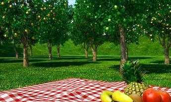 Imagem 5: More no Bonfim, área lazer com piscina