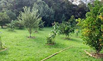 Imagem 6: Chácara para venda possui 12000 metros a 25 minutos do centro de São José dos Pinhais