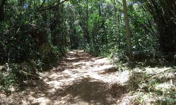 Imagem 6: TERRENO RESIDENCIAL em FLORIANÓPOLIS - SC, RATONES