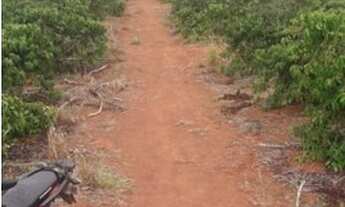 Imagem 3: Propriedade em São Mateus