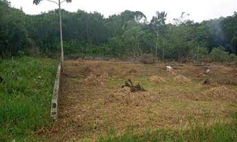 Imagem 6: São Paulo - Terreno Padrão - Balneário Tupy