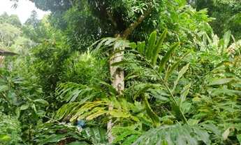 Imagem 7: Casa de vila térrea para venda com 56 metros quadrados com 1 quarto