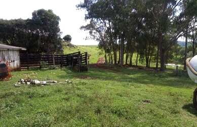 Imagem 2: Belíssima Fazendinha com 48 ha em Campos Novos - SC