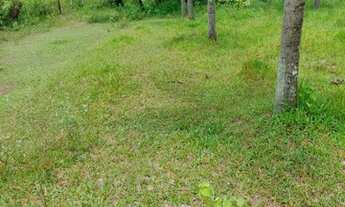 Imagem 4: Fazenda/Sítio/Chácara para venda, casa com 290 m², 3 qts., área útil, área total 4.483