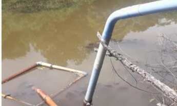 Imagem 7: Propriedade em São Mateus