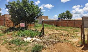 Imagem: Terreno girassóis