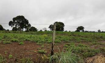 Imagem 8: Venda Fazenda Municipal Jangada, 1.300 hectares, Topografia Plana Levemente Ondulada - MT