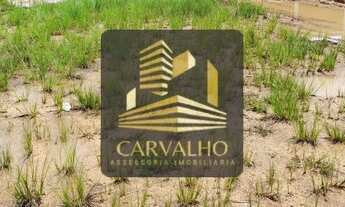 Imagem 6: Terreno para investimento na BR 280