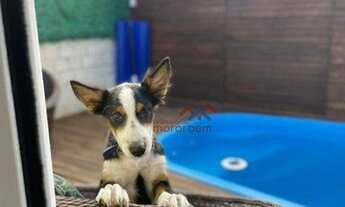 Imagem 4: Casa com 2 dormitórios à venda, 62 m² por R$ 379.900,00 - Olaria - Canoas/RS