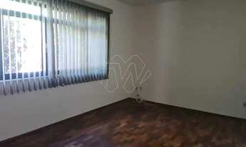 Imagem 6: Locação de Casas / Padrão na cidade de Araraquara