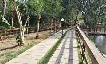 Imagem 6: GRANJA VIANA - SÃO PAULO II