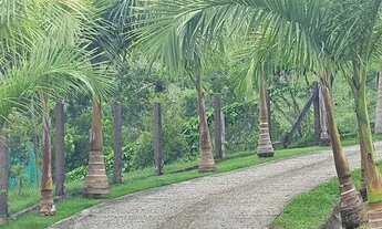 Imagem 2: Fazenda/Sítio/Chácara para venda com 700 metros quadrados com 3 quartos