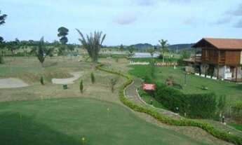 Imagem 2: Bananeiras Lotes Águas da Serra