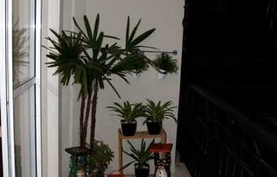 Imagem 2: Locação Apartamento 2 Dormitórios - 59 m² Higienópolis