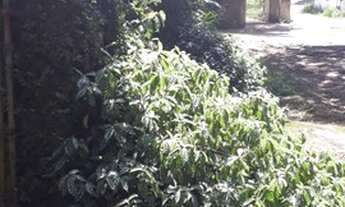 Imagem 2: Embu Condomínio do Bosque, casa com 4 dormitórios sendo 1 suíte,3 salas,útil de 400m²