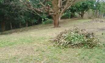 Imagem 2: Vendo lotes de terreno