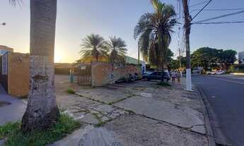 Imagem 4: Terreno para alugar, 765 m² por R$ 11.000,00/mês - Barão Geraldo - Campinas/SP