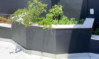 Imagem 1: Cobertura para aluguel com 244 metros quadrados com 3 quartos