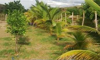 Imagem 4: Vende-se ou troca Chácara