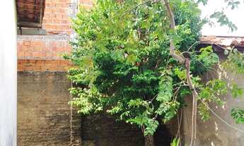 Imagem 3: Casa bairro primavera 4 quartos