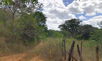 Imagem 3: Fazenda 78 Alqueires Vale do Jequitinhonha