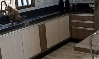 Imagem: CASA A VENDA