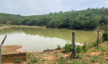Imagem 7: Fazenda/Sítio/Chácara para venda com 2000000 metros quadrados em Centro - Novorizonte - MG