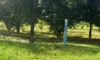 Imagem 6: Fazenda buritis MG proximo a cidade escriturada formada muita água