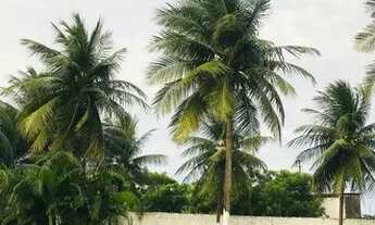 Imagem 2: Alugo casa de praia