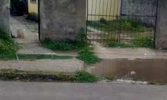 Imagem 2: Nossa Sra da conceição- Paulista