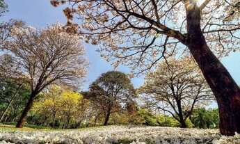 Imagem 7: CASA RESIDENCIAL em BARUERI - SP, ALPHAVILLE RESIDENCIAL UM