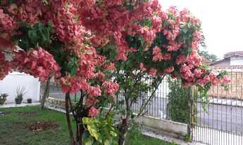 Imagem 5: Casa na praia - Balneâreo flórida