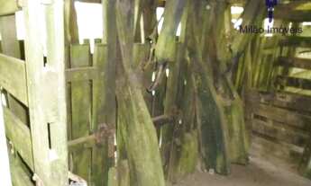 Imagem 5: Fazenda 13 dormitórios à venda, 1210000 m² - São Miguel Arcanjo/SP