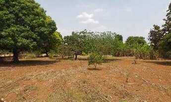 Imagem 7: Chácara Próxima a Brazlândia