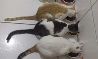 Imagem 6: Vaga/Quarto individual para Mulher próximo a UEPB