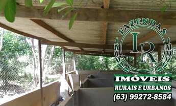 Imagem 7: Fazenda 23 Alqueires Taquaruçu Tocantins