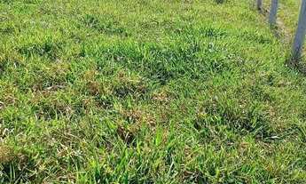 Imagem: Fração de terra 2h em alexania g.o