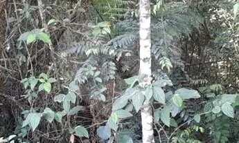 Imagem 3: Terreno à venda em Roseira - SP
